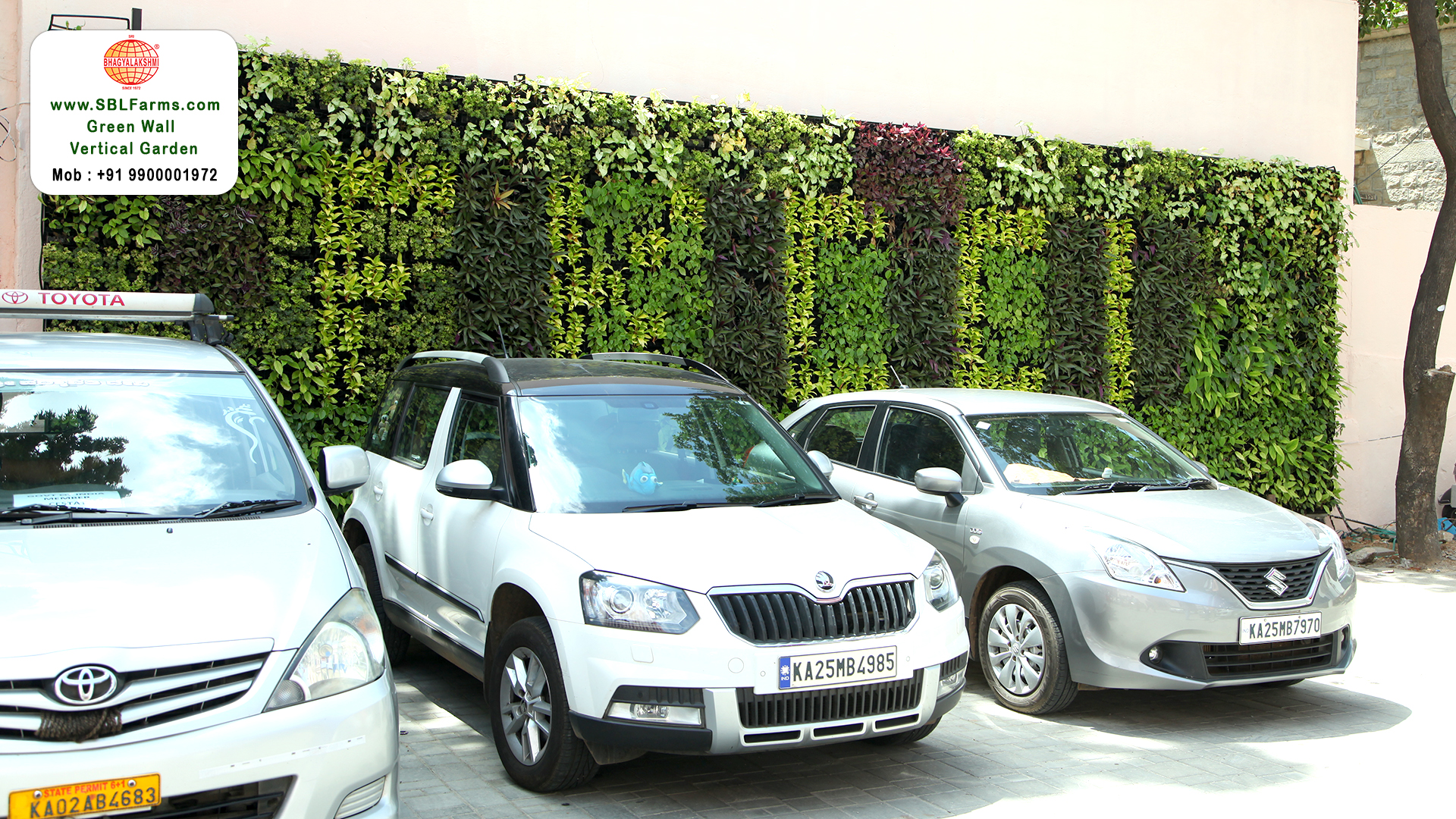 Sbl Farms Green walls and Living walls, Vertical Garden, Bio Curtains,vertical garden design for residence and home